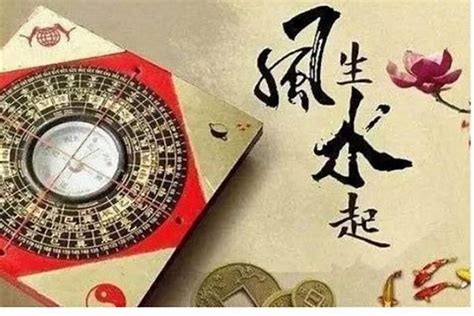 窗外有蜂巢 風水|吴青舟风水师：家窗户外有蜂窝好吗